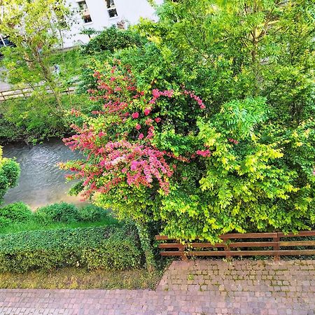 Alte Stadtmauer - Apartment Sinsheim Dış mekan fotoğraf