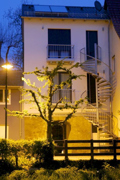 Alte Stadtmauer - Apartment Sinsheim Dış mekan fotoğraf