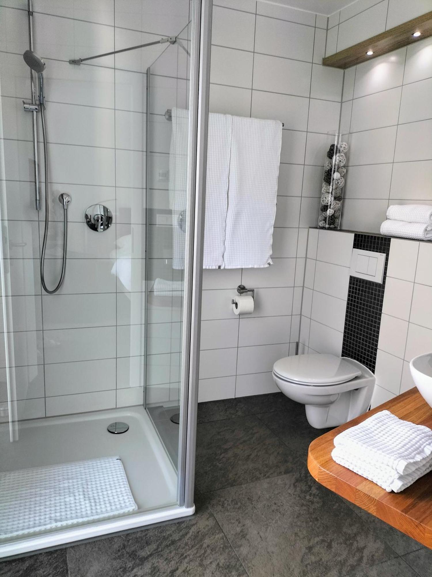 Alte Stadtmauer - Apartment Sinsheim Dış mekan fotoğraf