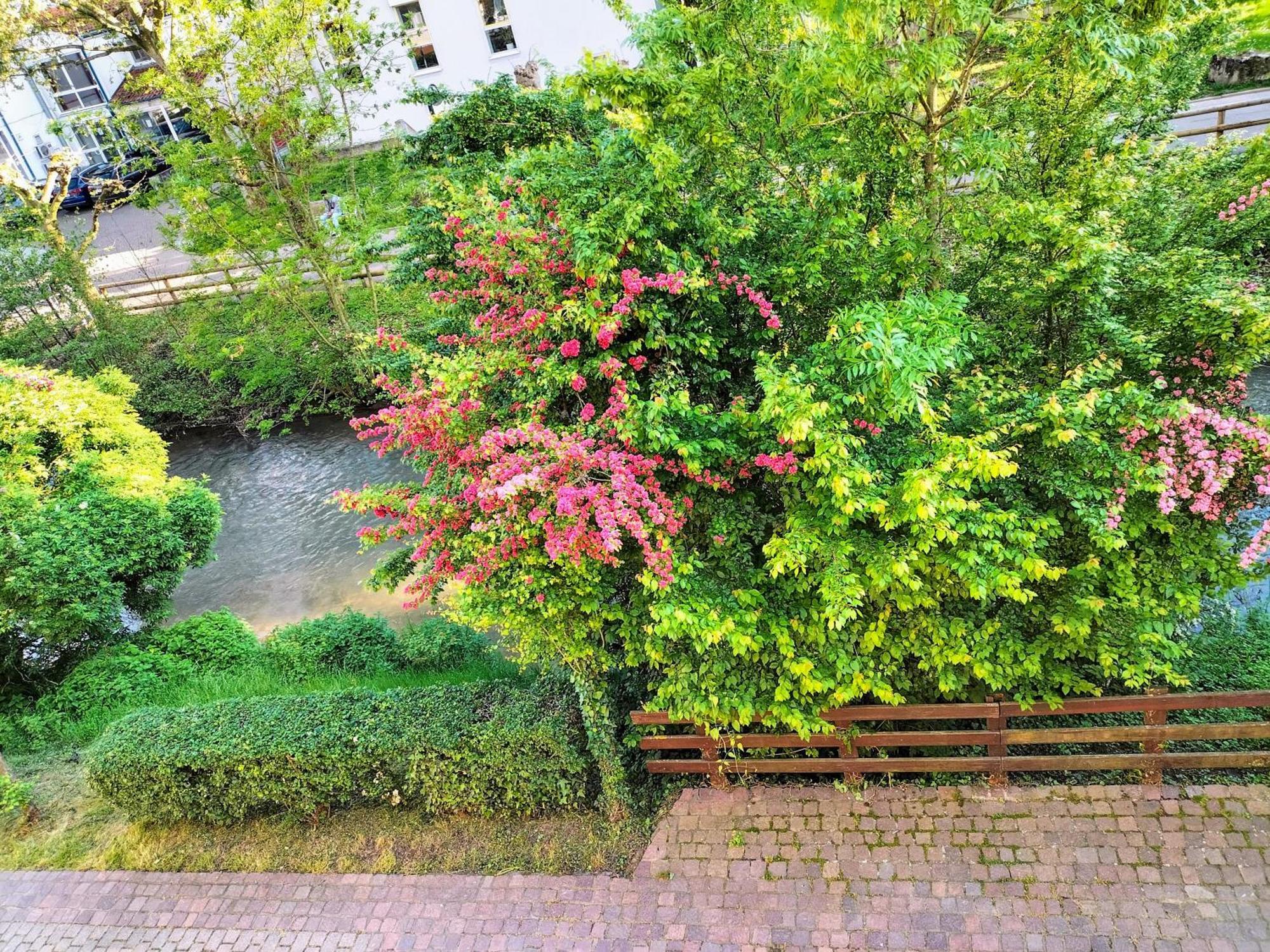 Alte Stadtmauer - Apartment Sinsheim Dış mekan fotoğraf