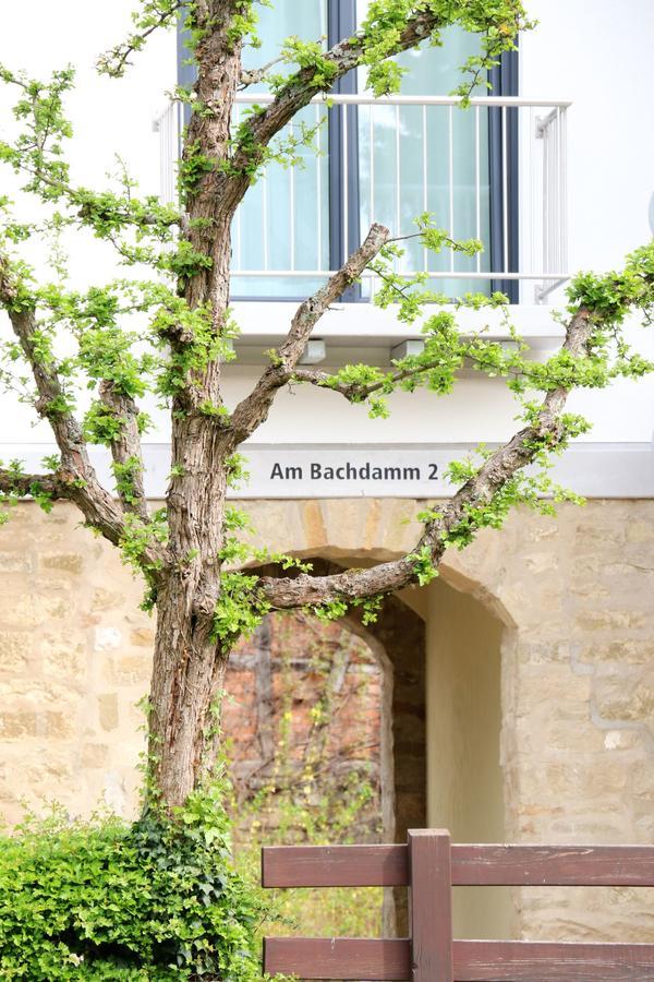 Alte Stadtmauer - Apartment Sinsheim Dış mekan fotoğraf